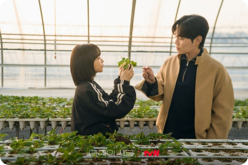 &amp;lt;tvN 토일드라마 &amp;lt;미지의 서울&amp;gt; tvN 제공&amp;gt;