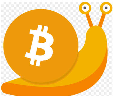 스테이블 코인 종류