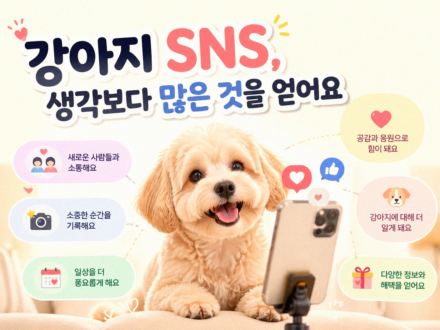 강아지 SNS, 뭘 기대해야 할까? 운영하며 달라지는 것들
