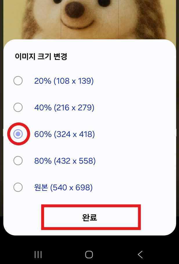 방법 6: 원하는 크기 비율 선택하기