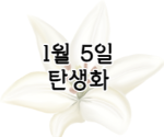 이 이미지를 클릭 하시면 1월 5일 탄생화에 관한 포스팅으로 이동됩니다.