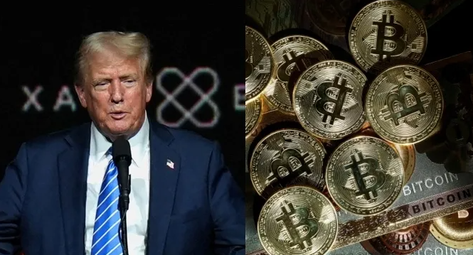 트럼프 비트코인