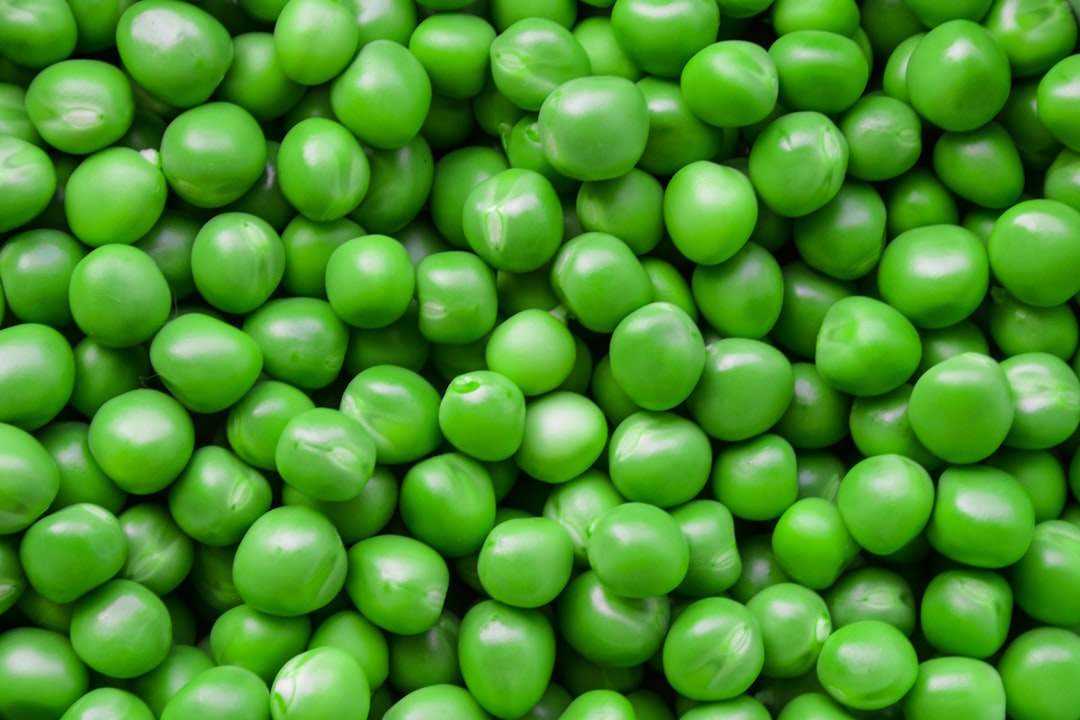 Bean