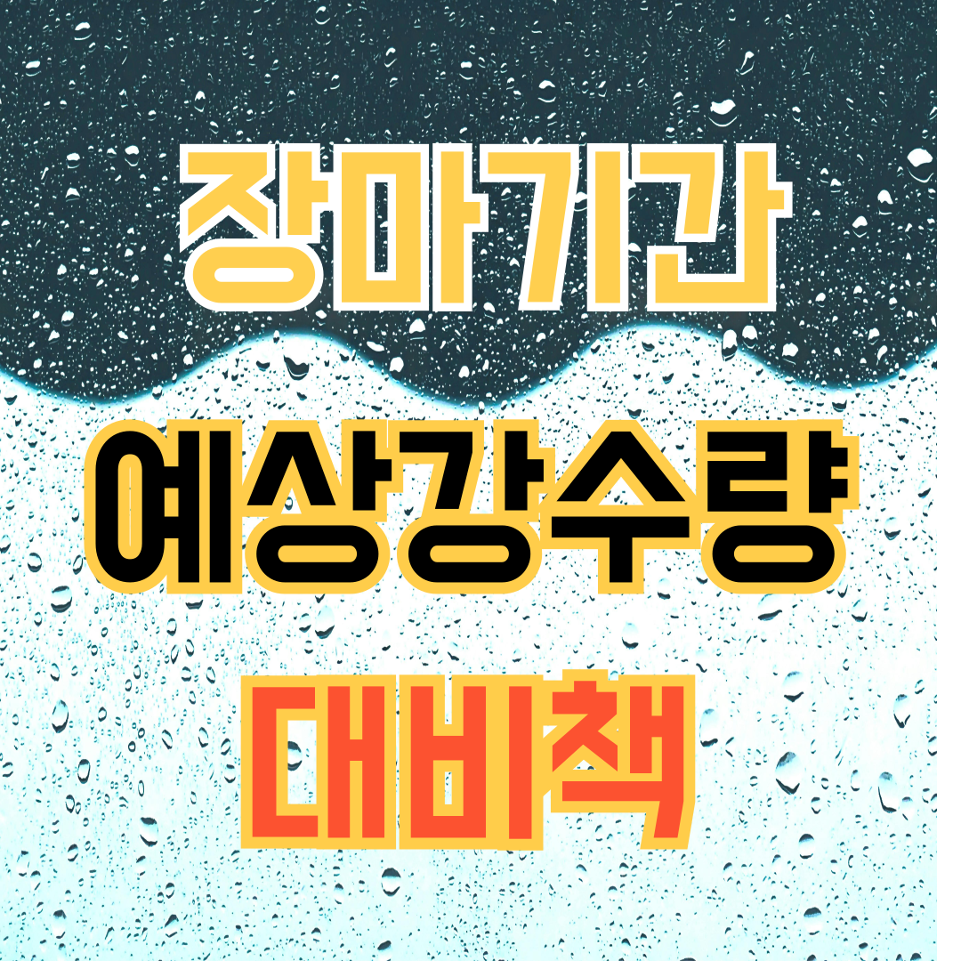2024 장마