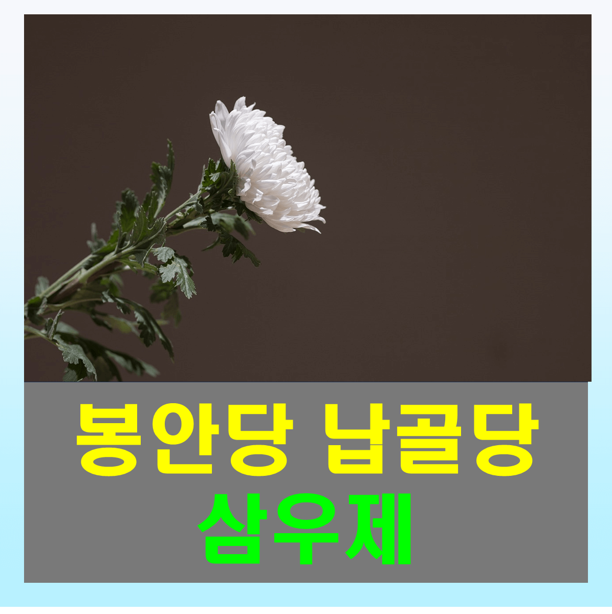 납골당 삼우제 총정리