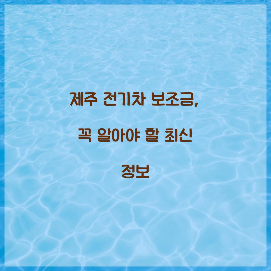 제주 전기차 보조금