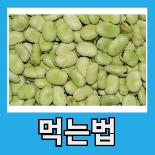 파바빈 먹는법