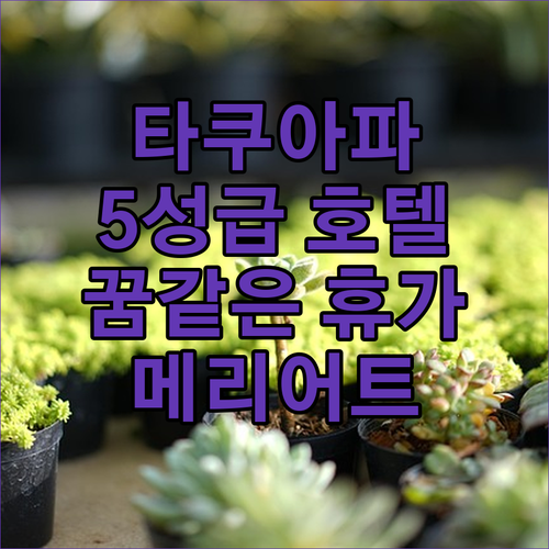 타쿠아 파 완벽 여행 가이드! 5성급..