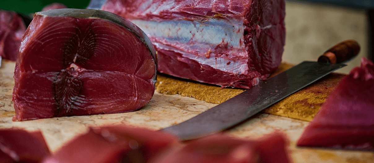 참치 효능과 관련된 사진 - 3