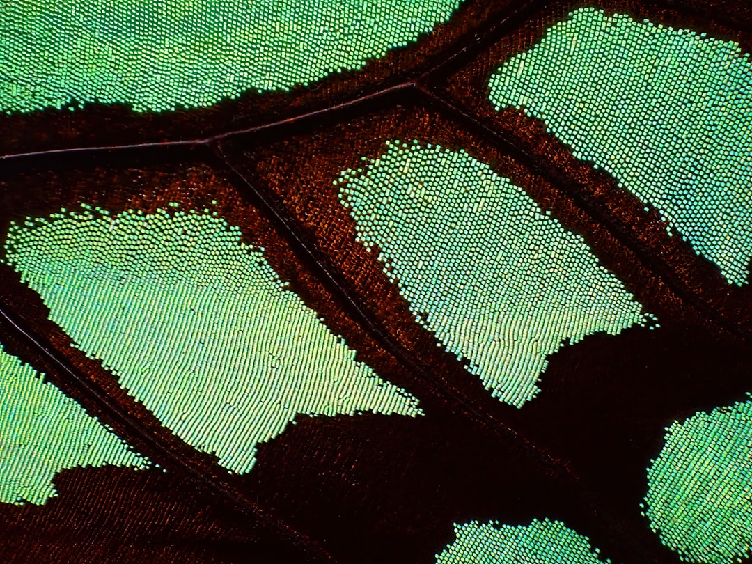 MICROSCOPE