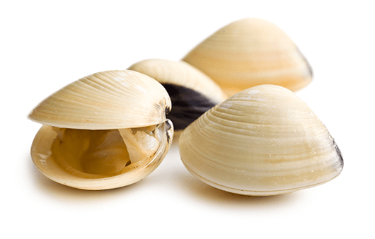 콘드로이친-부작용-주의사항