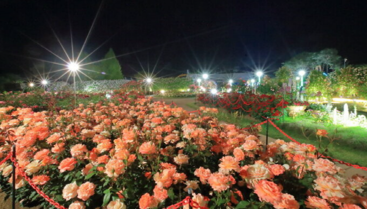 곡성 세계장미축제