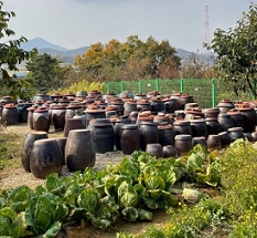 장독대