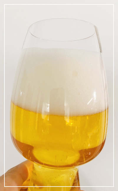 칭따오1903 프리미엄 라거