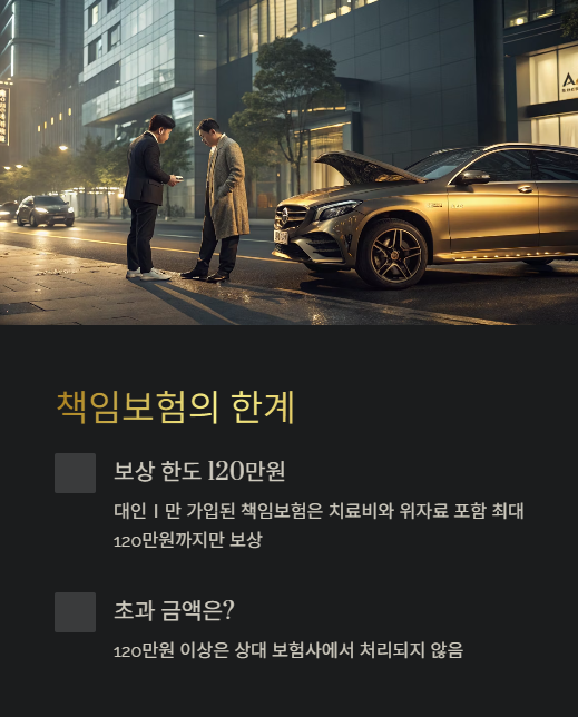 책임보험의 한계