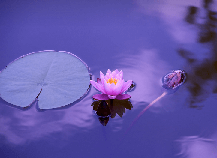 물에 빠지는 꿈 해몽