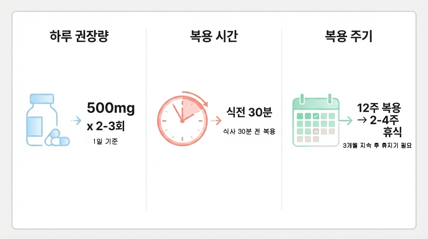 베르베린 하루 권장량 500 mg × 2~3회, 식전 30분 복용, 12주 복용 후 2~4주 휴식