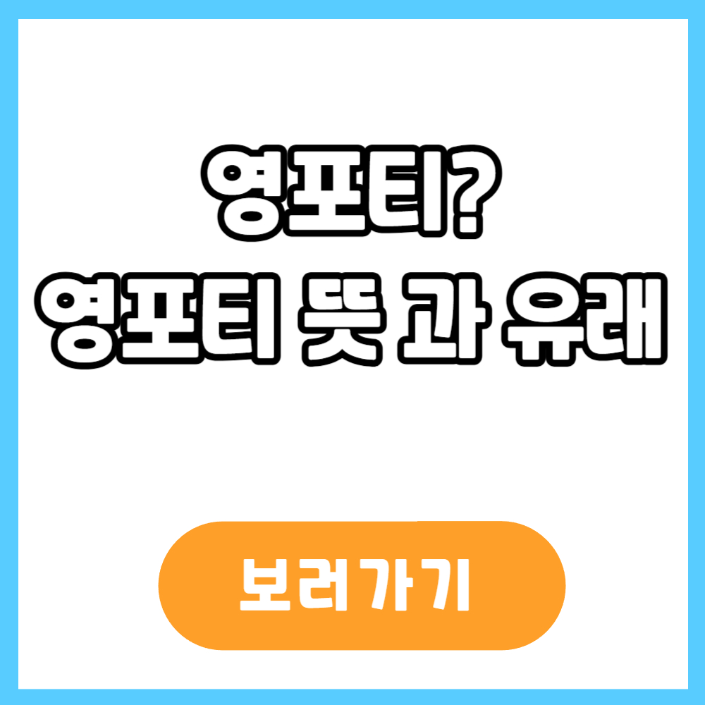 영포티 뜻