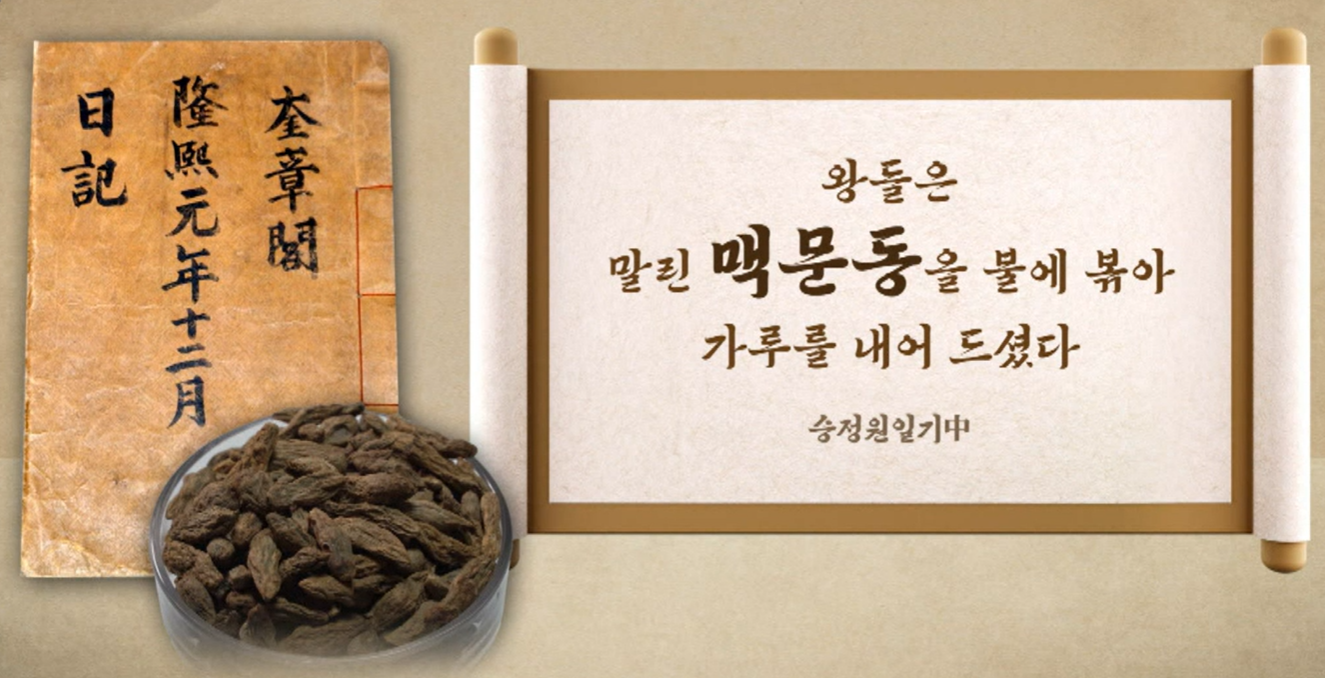 맥문동