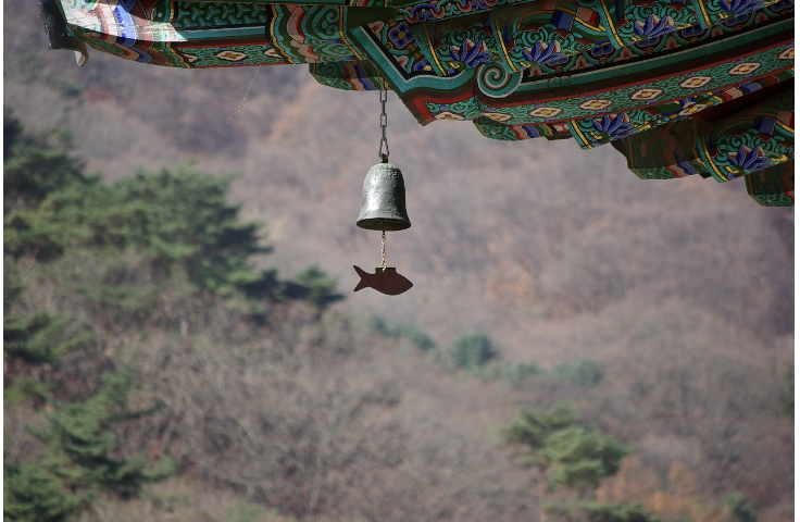 한국의 사찰 음식: 소박함 속의 깊은 맛