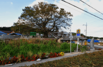 2025 천안시내버스 방학기간 운행 변경 (91번, 92번, 93번, 94번, 95번, 97번, 98번, 99번, 166번, 590번)