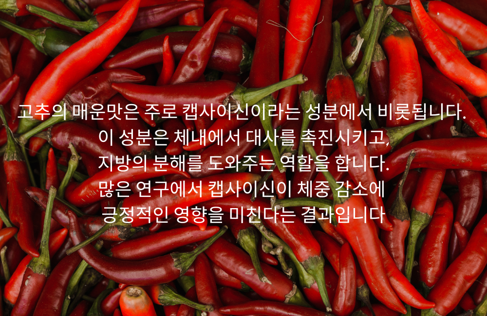 alt="고추의 매운맛 성분 설명"