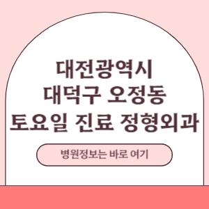 대덕구 오정동 토요일 정형외과 진료 병원