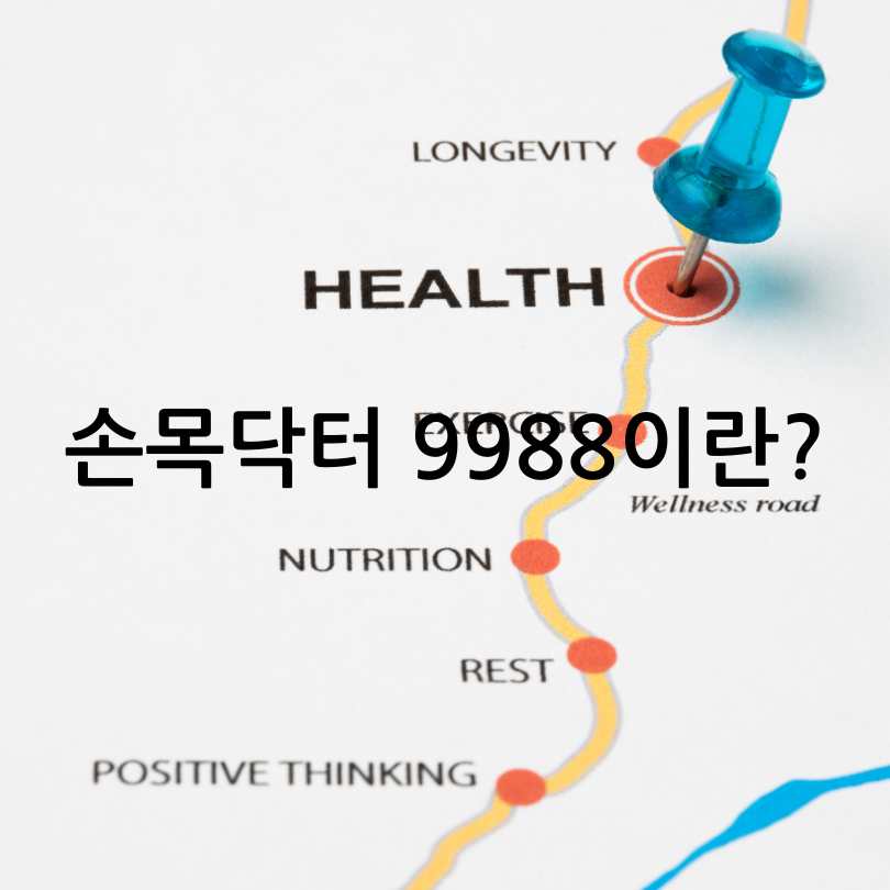 손목닥터9988 남산 걷기 챌린지