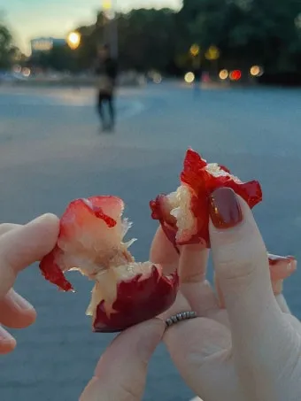 독일 베를린 9월 날씨와 옷차림 정보_11