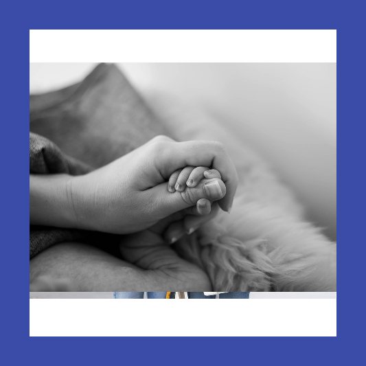 2025 민생회복소비쿠폰 신청방법|지급 대상&#44; 사용처&#44; 지급일