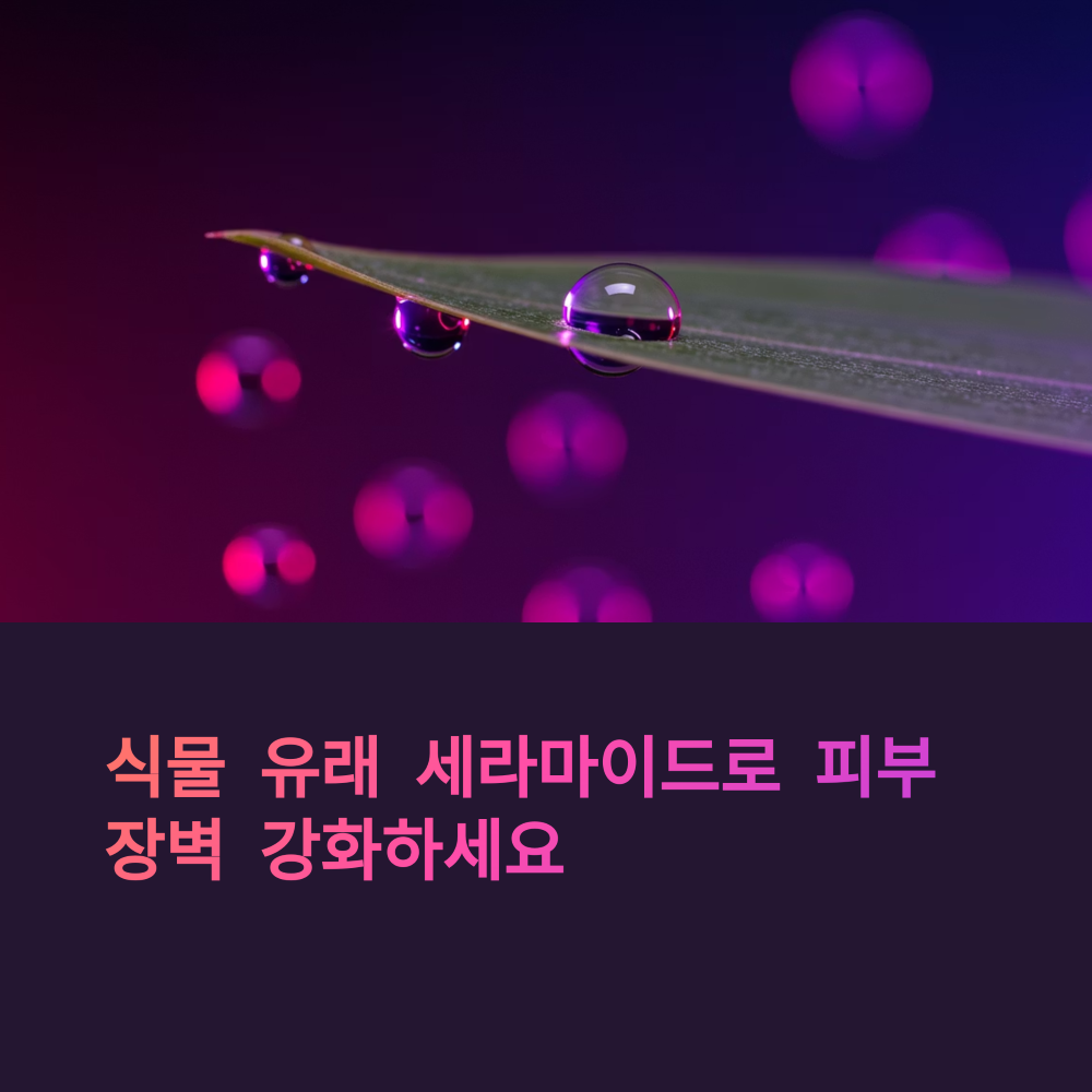 식물에 맺혀있는 이슬 이미지