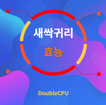 새싹귀리 효능 탐구