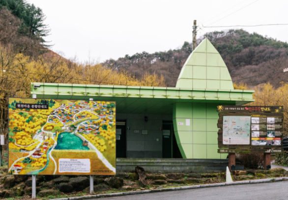 [6시 내고향] 전남 구례 사성암&amp;#44; 현천마을&amp;#44; 산수유 시목지&amp;#44; 과학원&amp;#44; 대나무숲길&amp;#44; 전통식품 정보