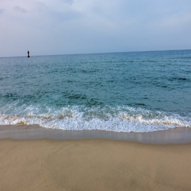 겨울 바다 여행지 추천 겨울 경포해수욕장