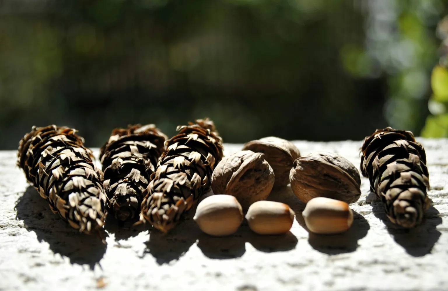 처서&amp;#44; 처서뜻&amp;#44; 처서절기&amp;#44; 처서음식&amp;#44; 처서건강식&amp;#44; 절기음식&amp;#44; 24절기&amp;#44; 처서밥상&amp;#44; 제철음식&amp;#44; 가을건강식&amp;#44; 여름끝자락음식&amp;#44;계절밥상