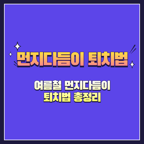 여름철 먼지다듬이 퇴치법 총정리