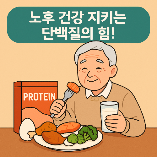 노인들이 단백질이 더 필요한 이유｜단백질 부족 증상과 해결 방법