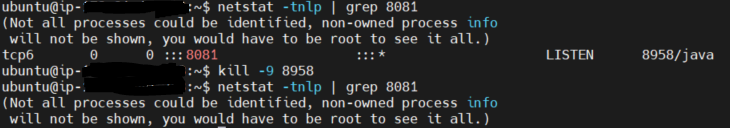 kill 명령어로 포트 종료