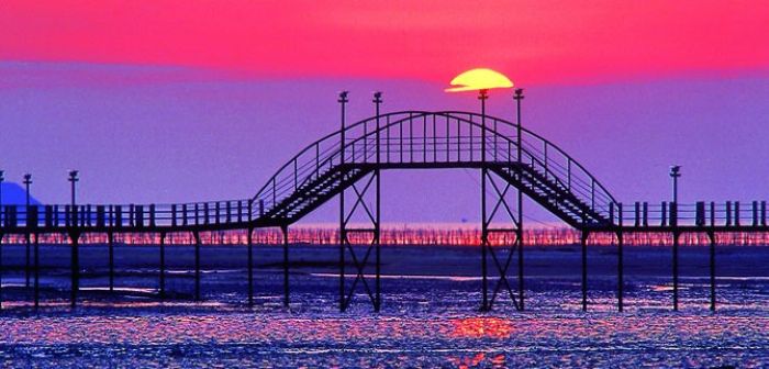 증도 짱뚱어다리