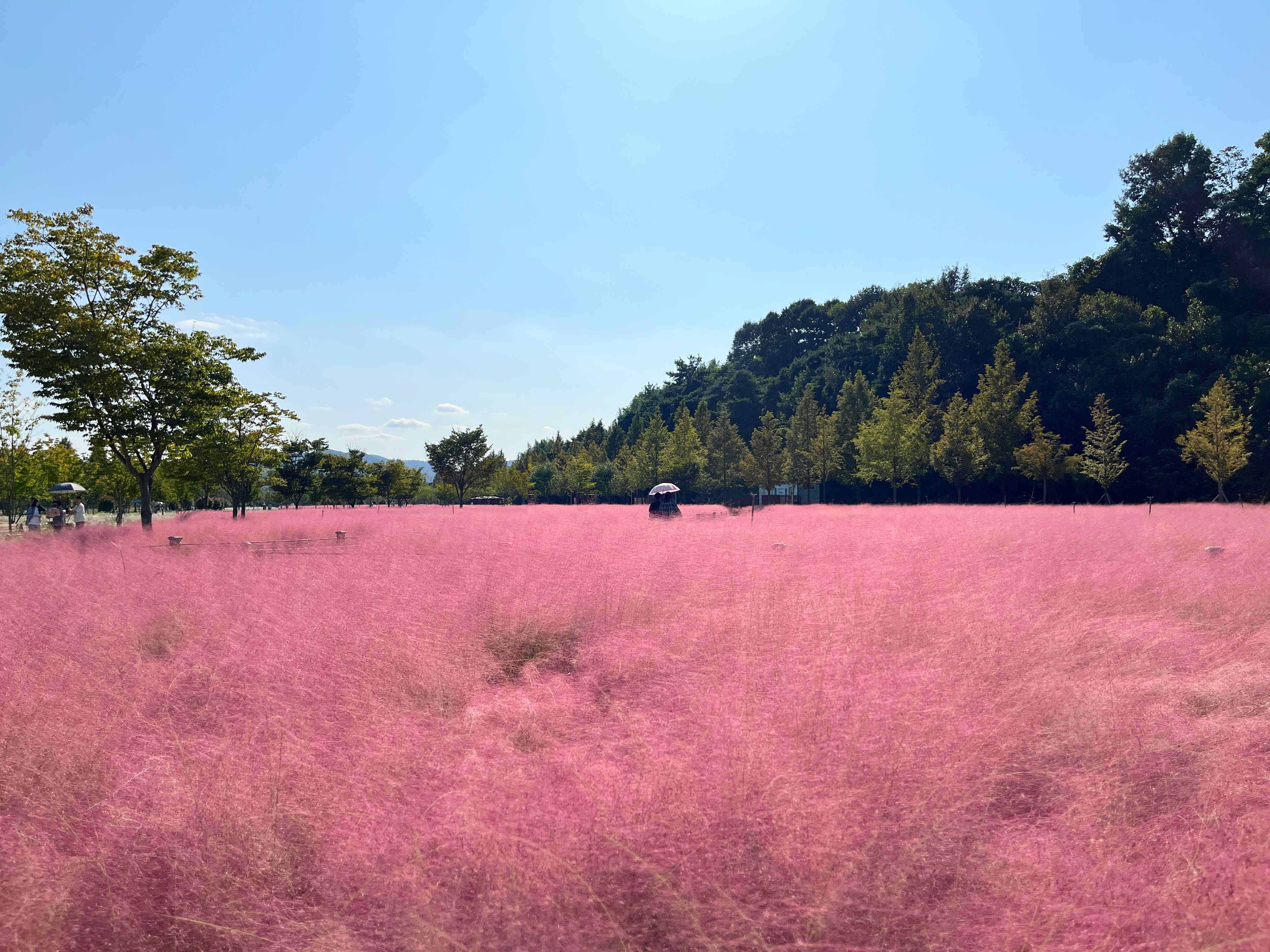 신소양체육공원