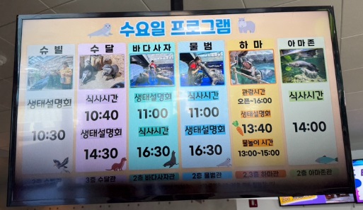 아라마루 아쿠아리움 프로그램