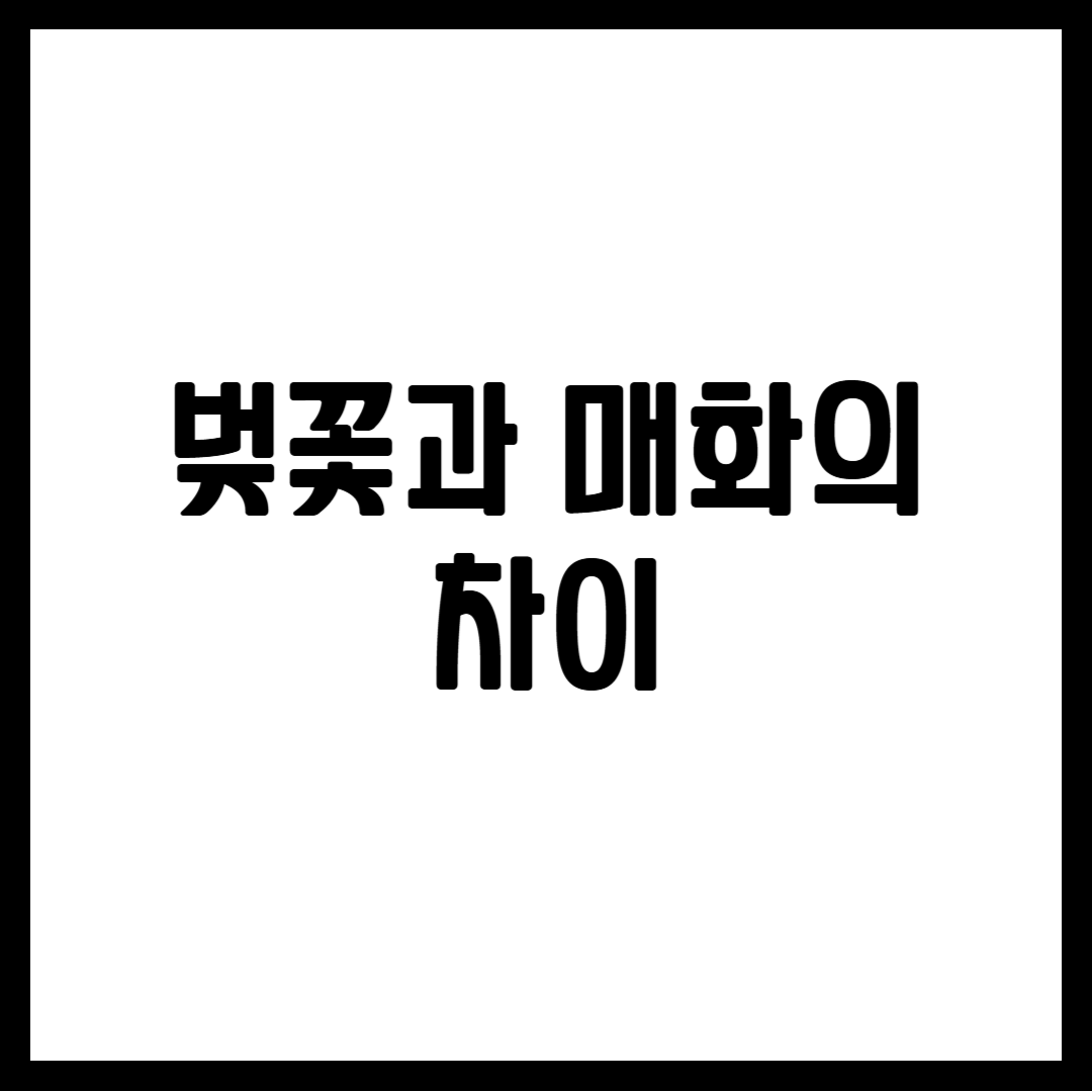 벚꽃과 매화의 차이