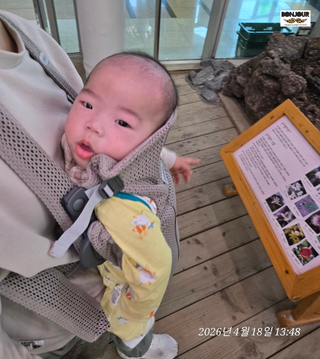 제주곶자왈 표지판 앞에서 사진 촬영한 엄마 품속 5개월 아기