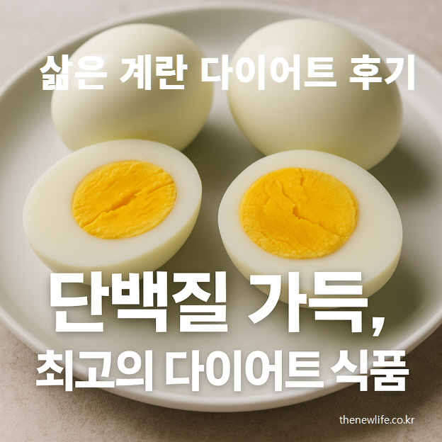 삶은 계란 다이어트 후기 - 단백질 가득한 최고의 다이어트 식품
