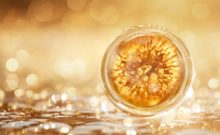 콜라겐 많은 음식