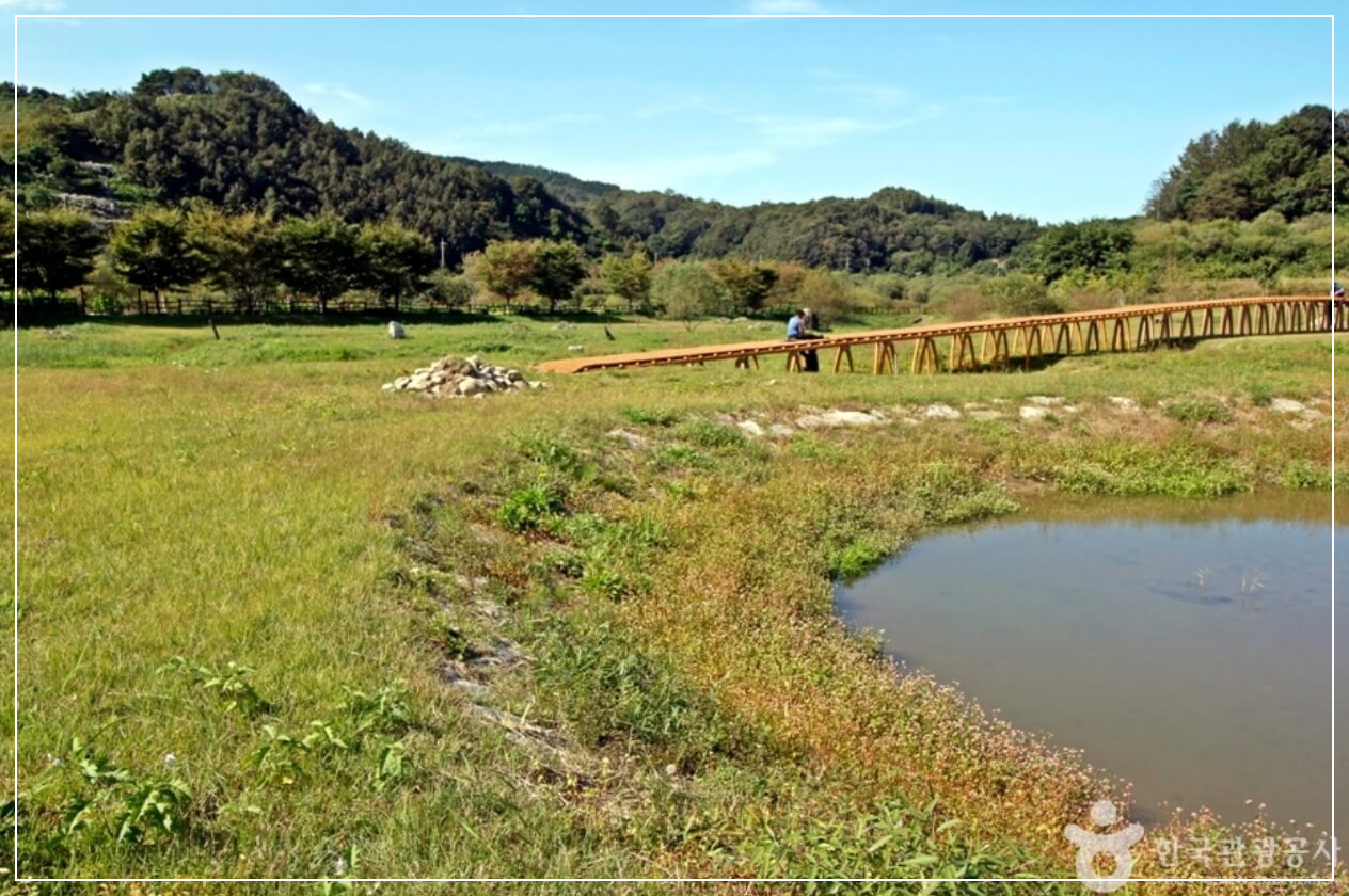 진안 가볼만한곳 베스트10 신지천 생태습지