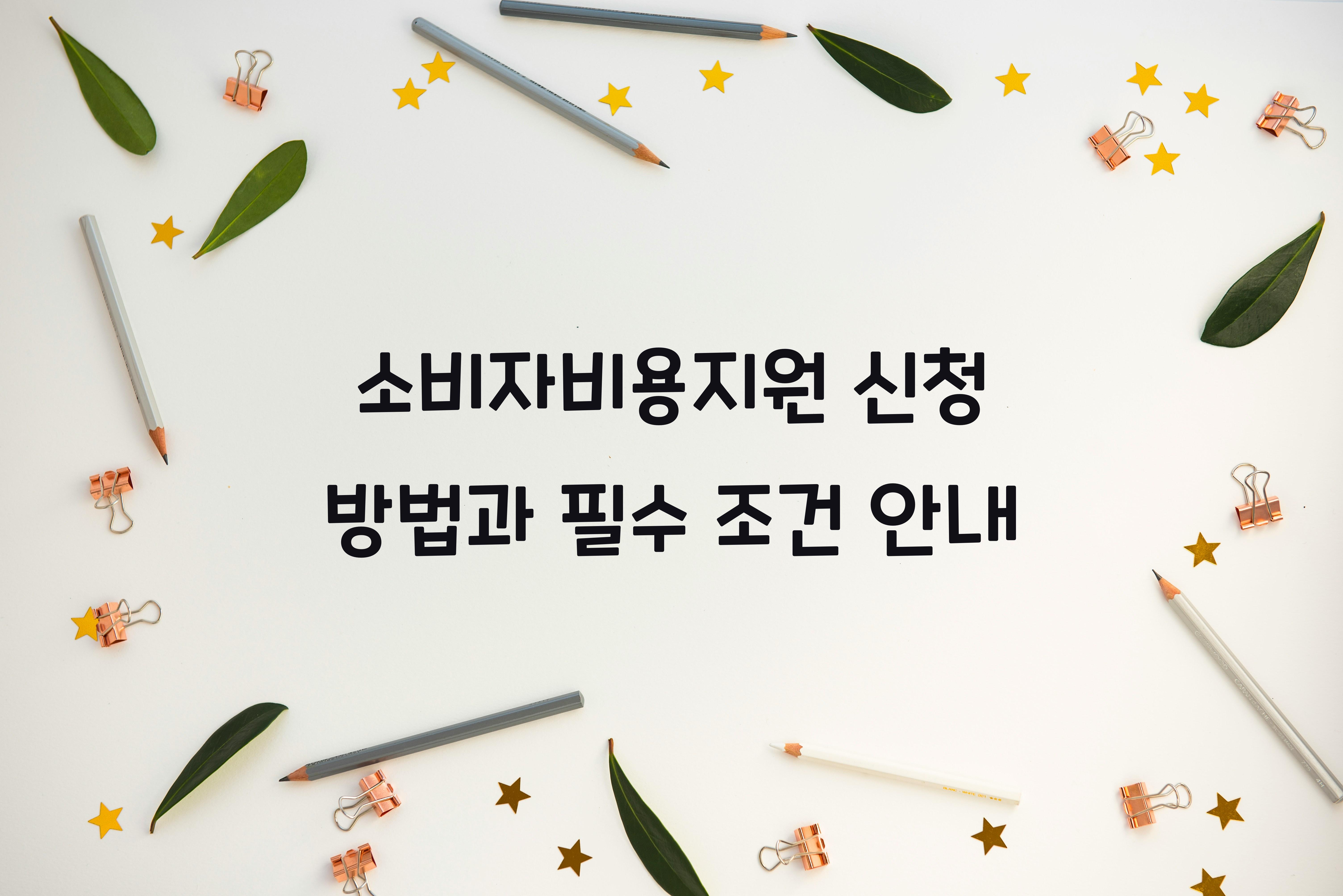 소비자비용지원 신청