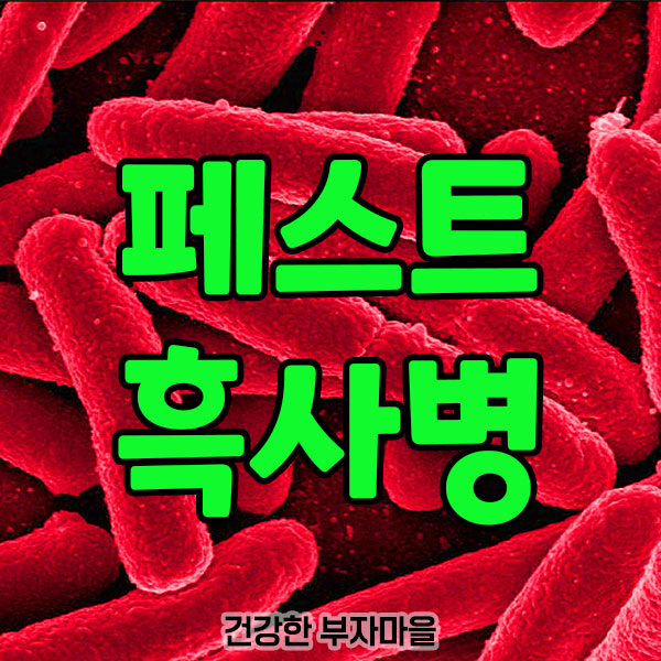 페스트_흑사병