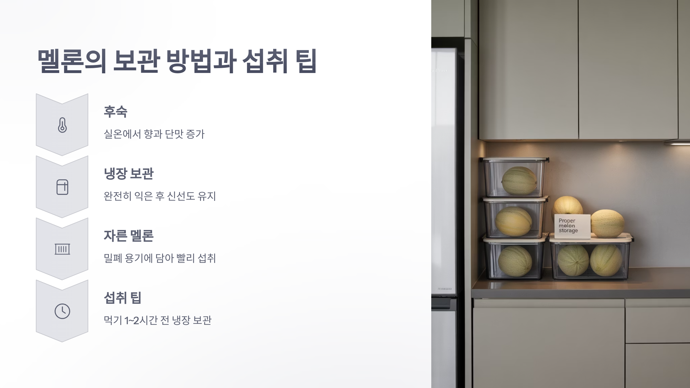 참조-멜론-과일-4