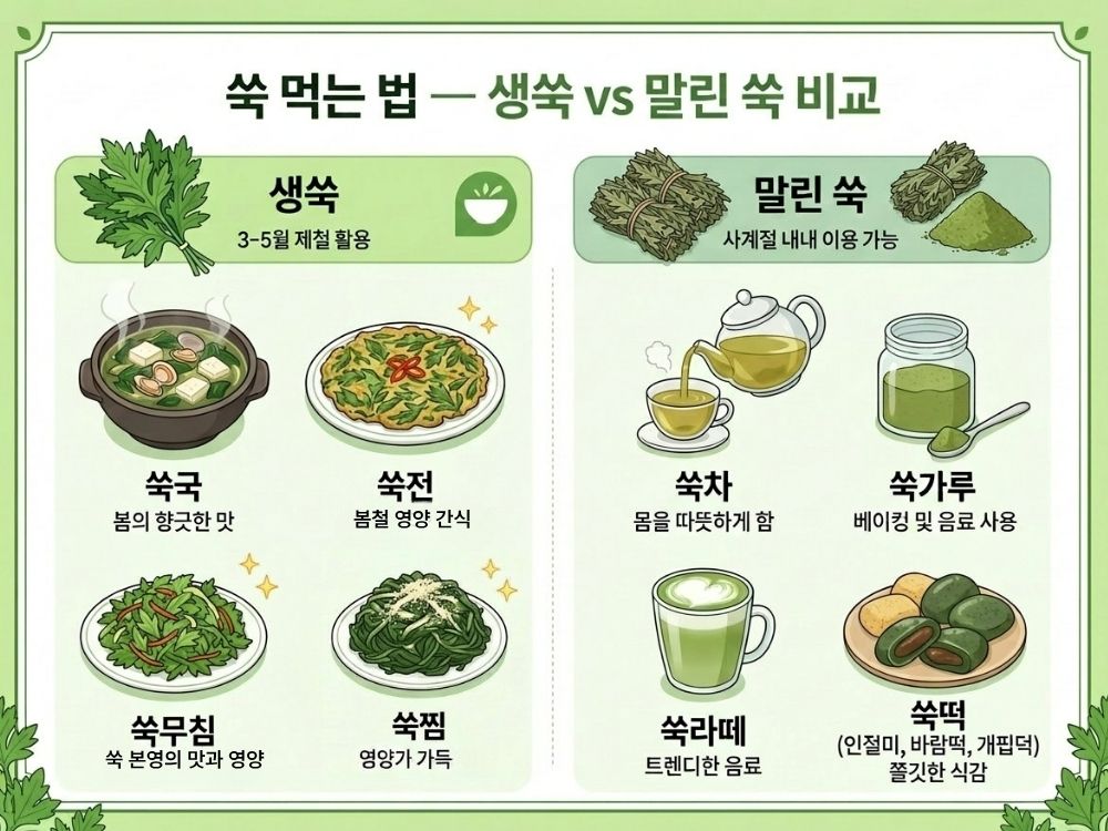 쑥 먹는 법 생쑥 말린쑥